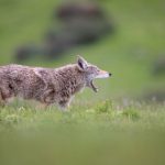 赌现金信誉的重要性及其对玩家体验的影响分析 wfny7ae