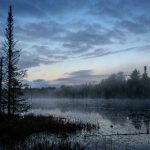 探索大赢家官方网站:全面了解在线博彩的乐趣与优势 z7kfyh